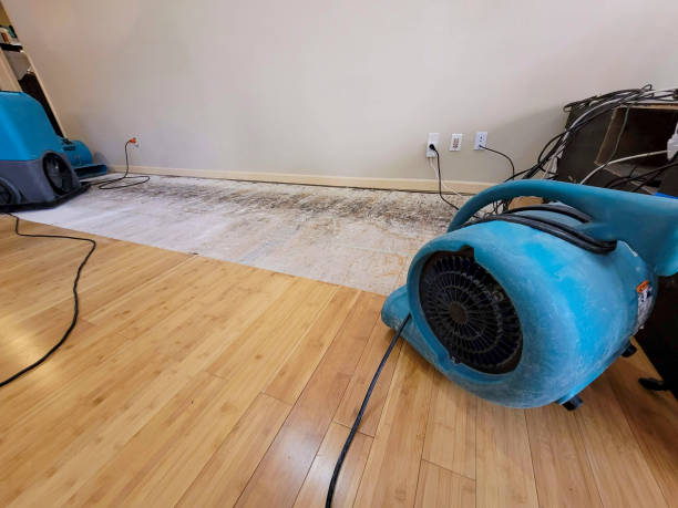 Reliable Crawl Space Water Removal contractor in Falmouth, VA by Hirex Water Damage