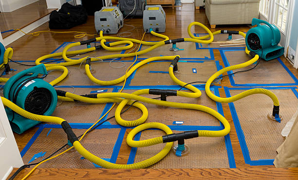 Professional Crawl Space Water Removal technician working in Falmouth, VA